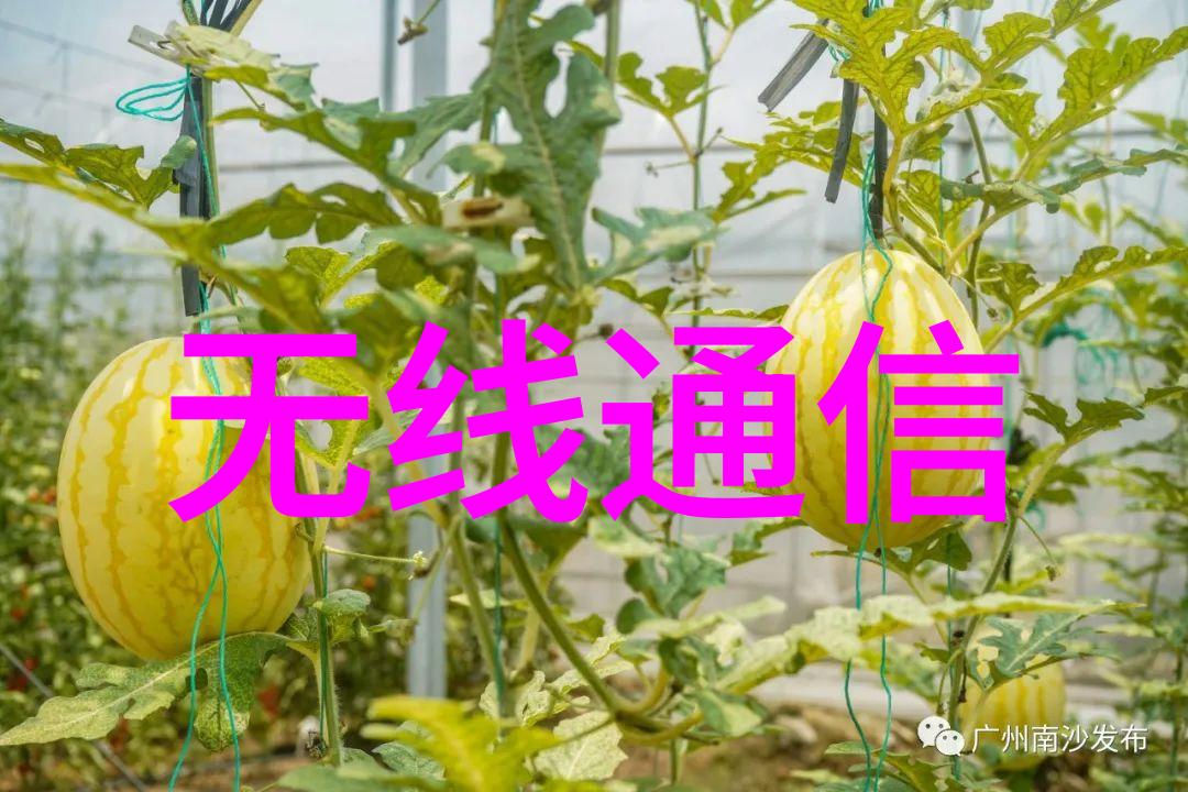 动物用注射器投药泵 MCIP-