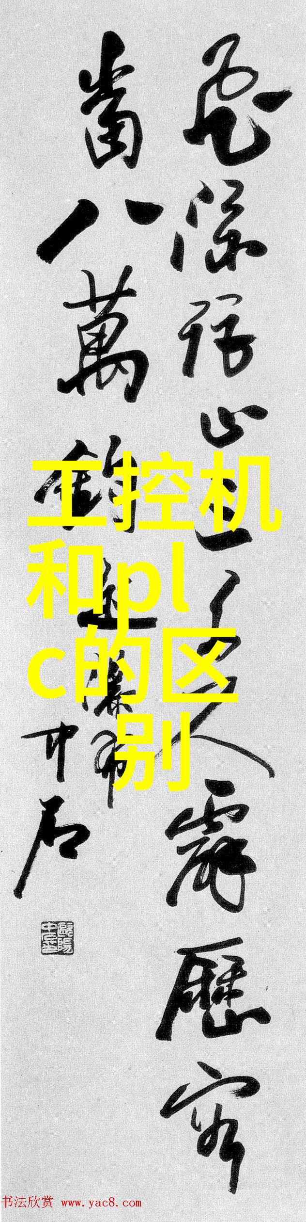 玉米包装机