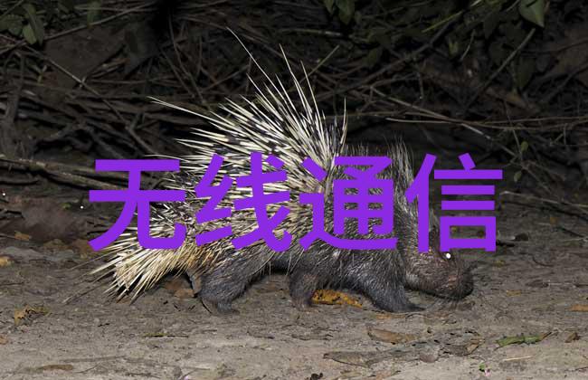 -25 立式冷冻柜 - 60L